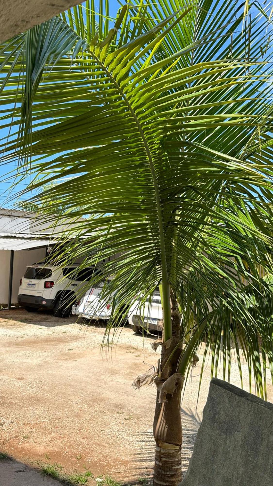 Pousada Caminho Das Cachoeiras Pirenópolis Extérieur photo